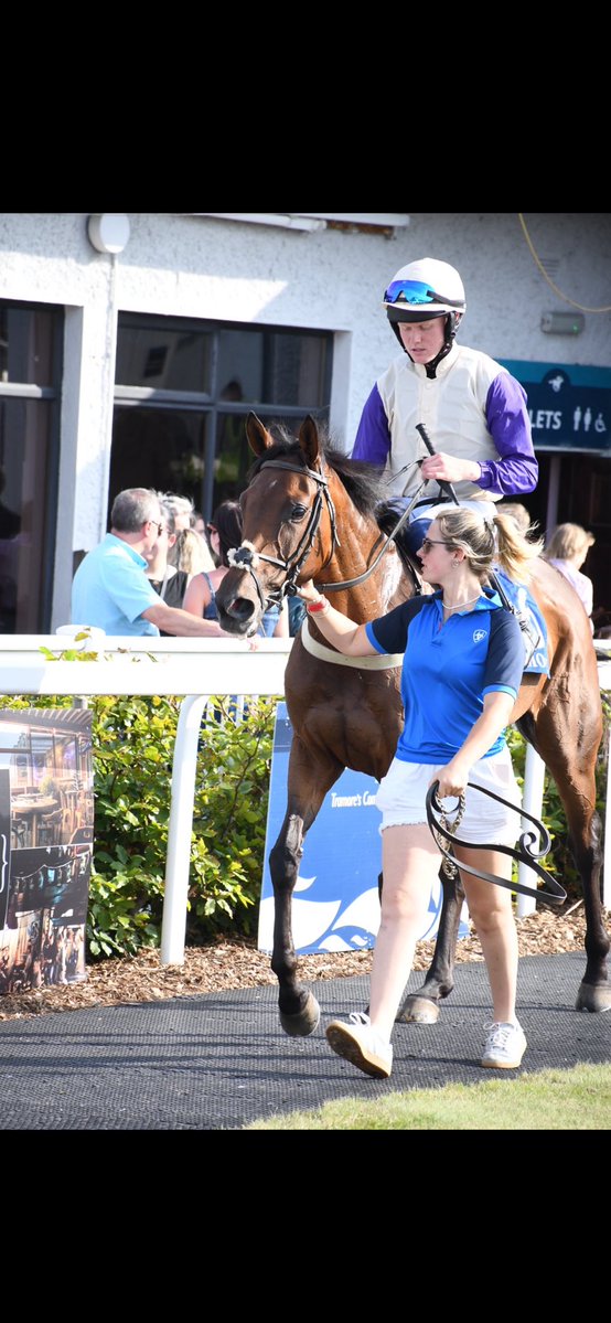 PCequinephotography tweet media