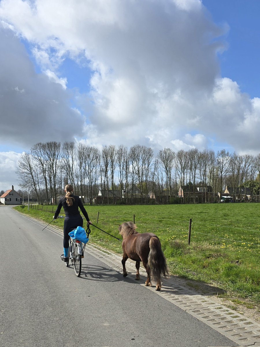 Natas__cha's tweet photo. Jongste dochter met Diablo op pad
#HopHopHop #ElDiablo https://t.co/W6Fglwy5G9