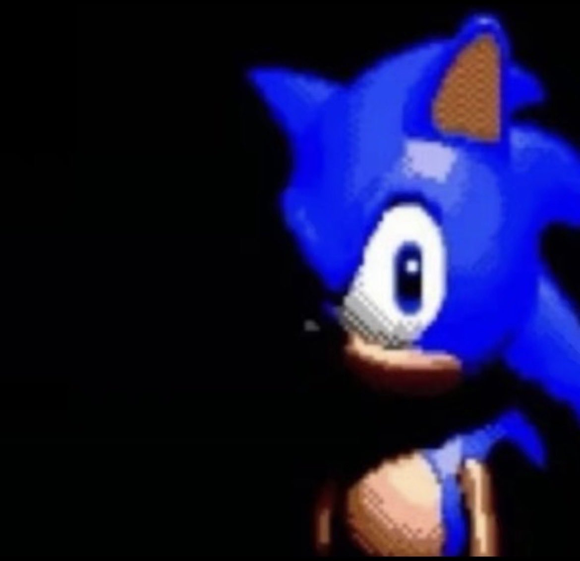 AM🦈 (they/them) tweet media