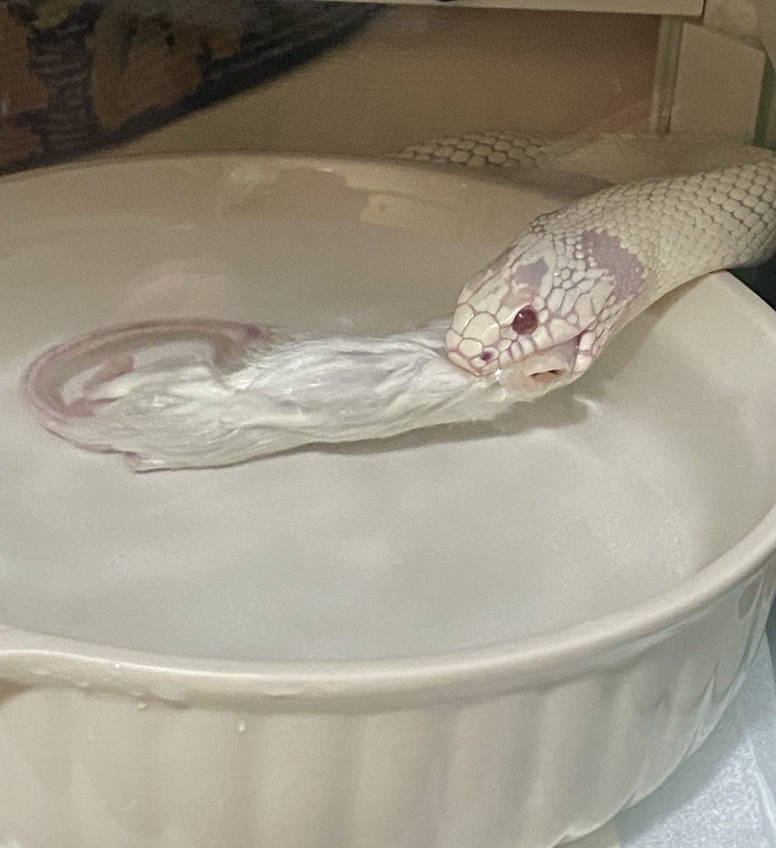 アイムさん tweet media