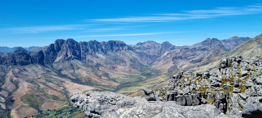 Gcobani Ndzongana tweet media