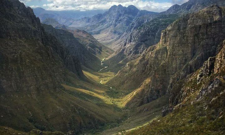 Gcobani Ndzongana tweet media