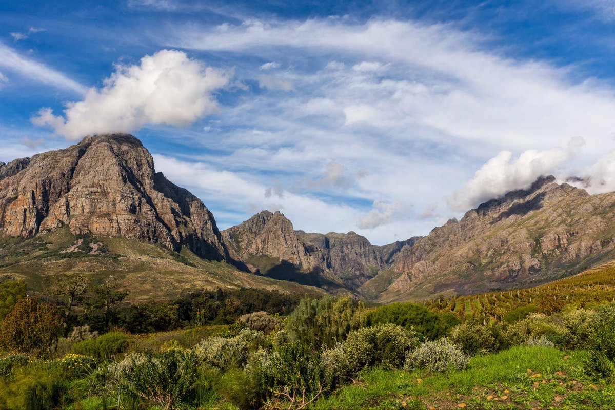 Gcobani Ndzongana tweet media