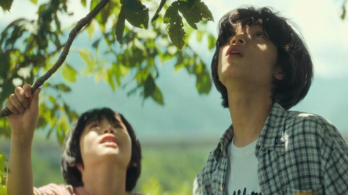 SoyaDiary tweet media