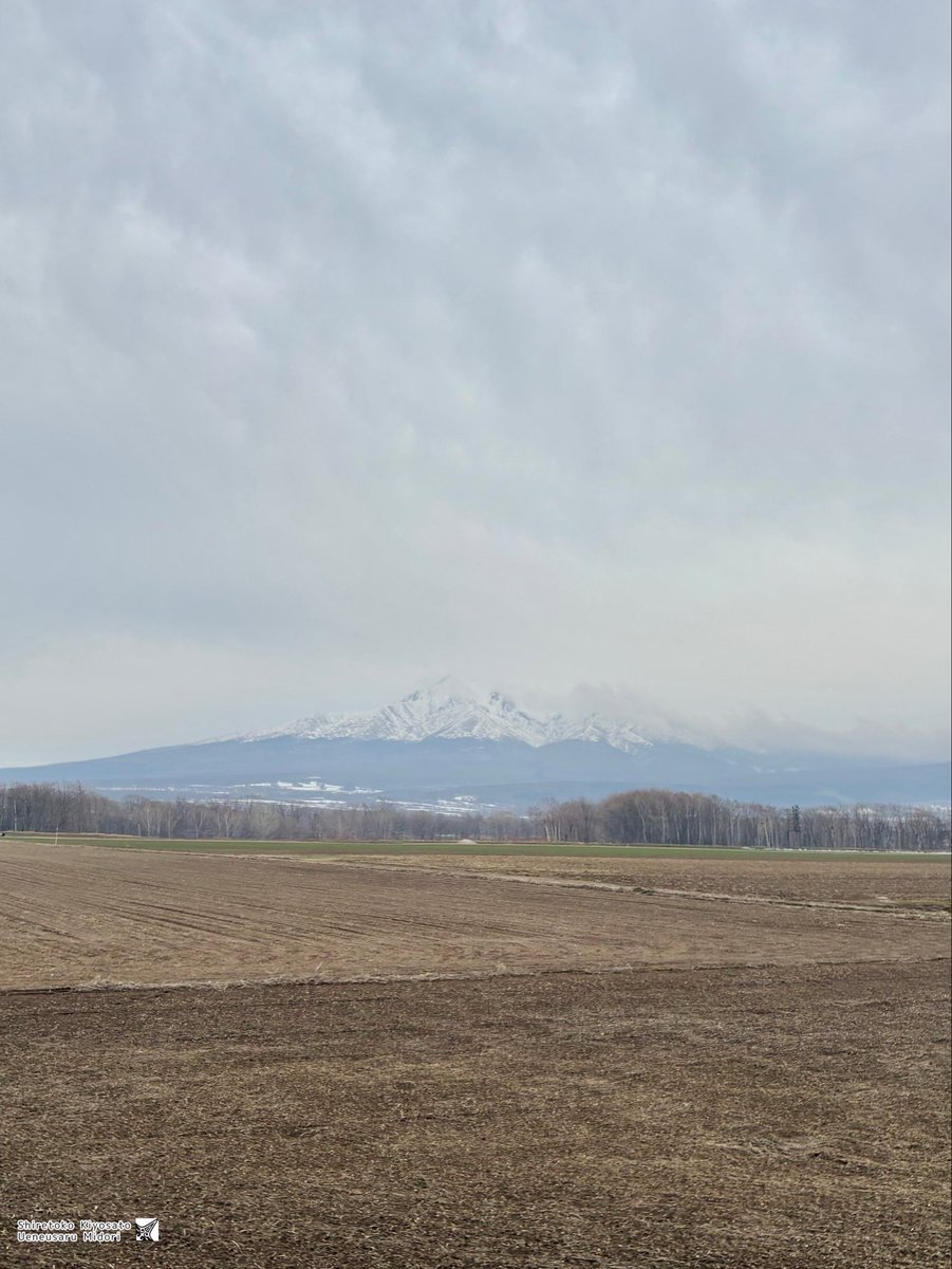 くまもちゃん tweet media