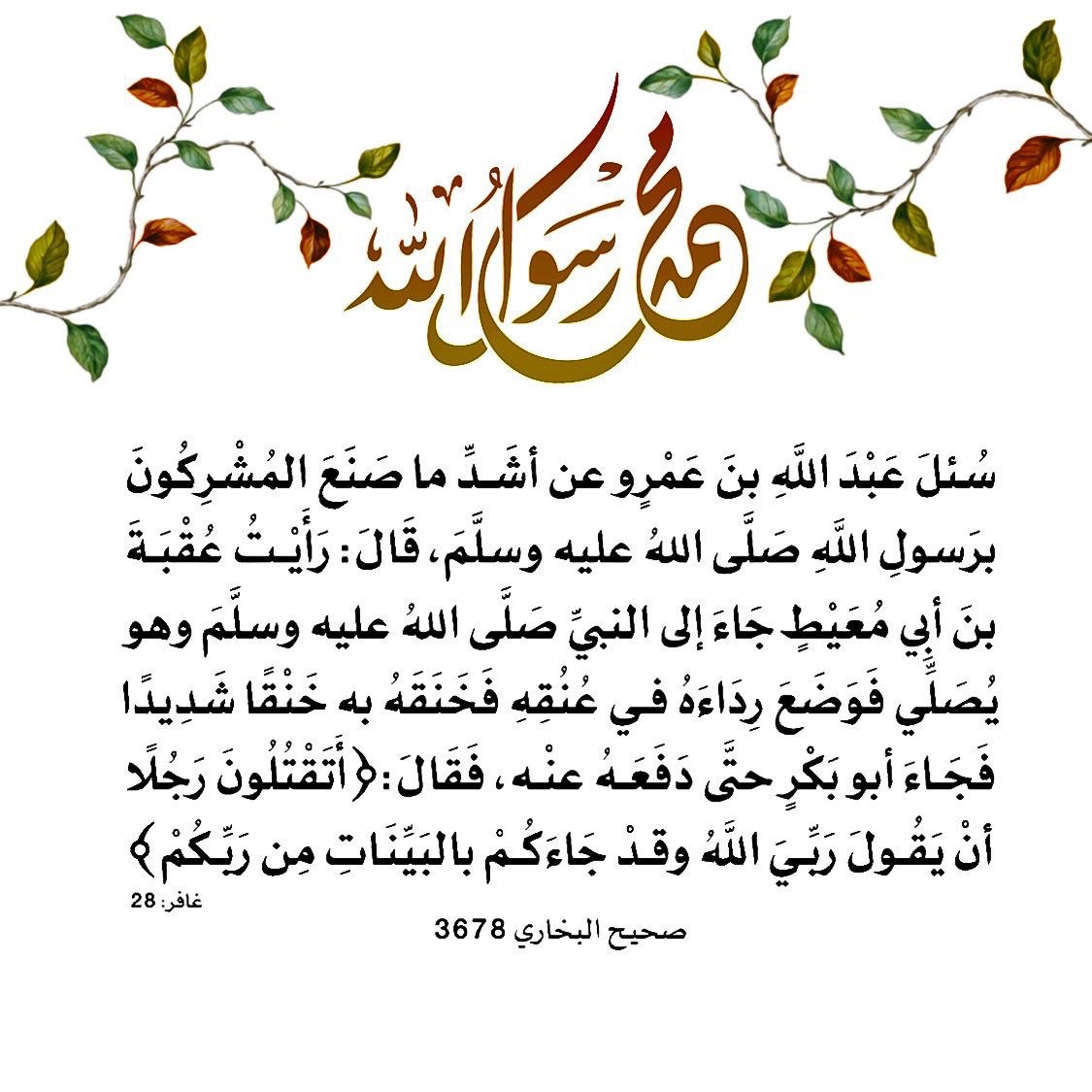 نشر أحاديث وفوائد tweet media