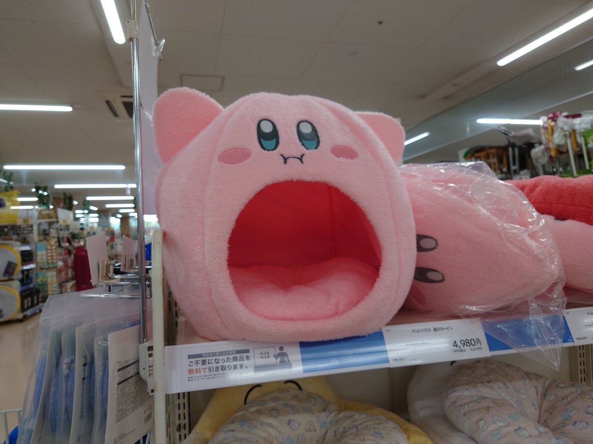 さけのみ🍺@面白ツイート tweet media