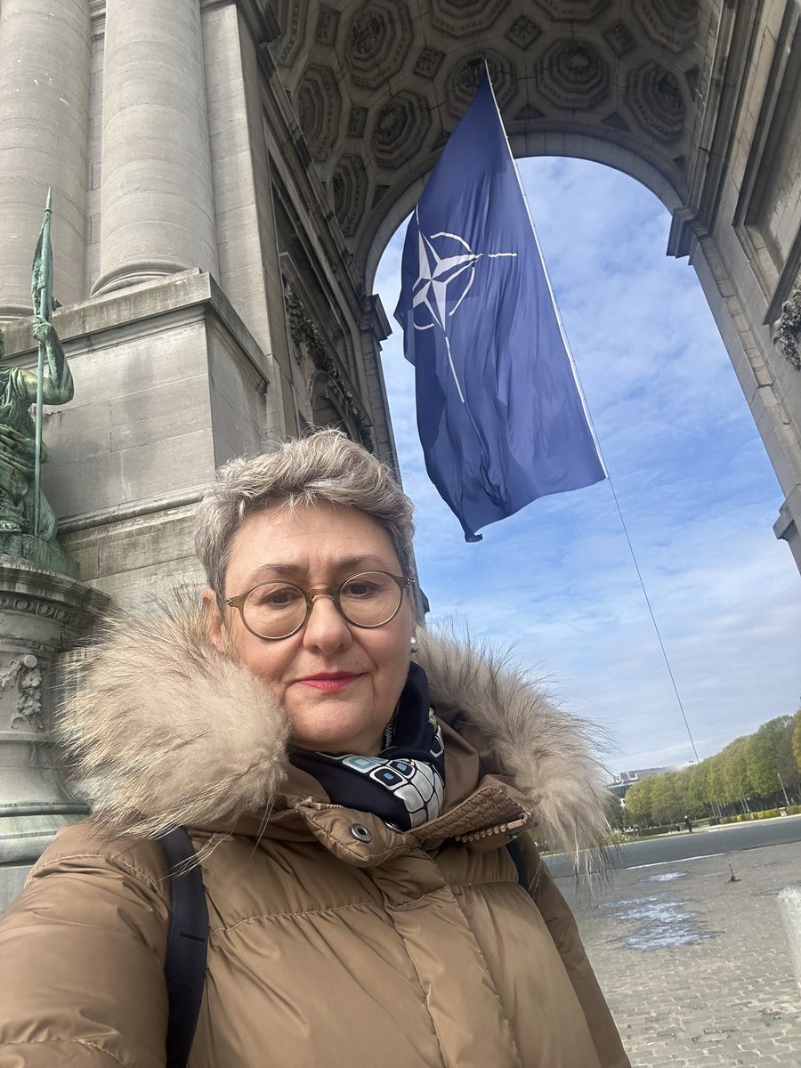 Oana Lungescu tweet media