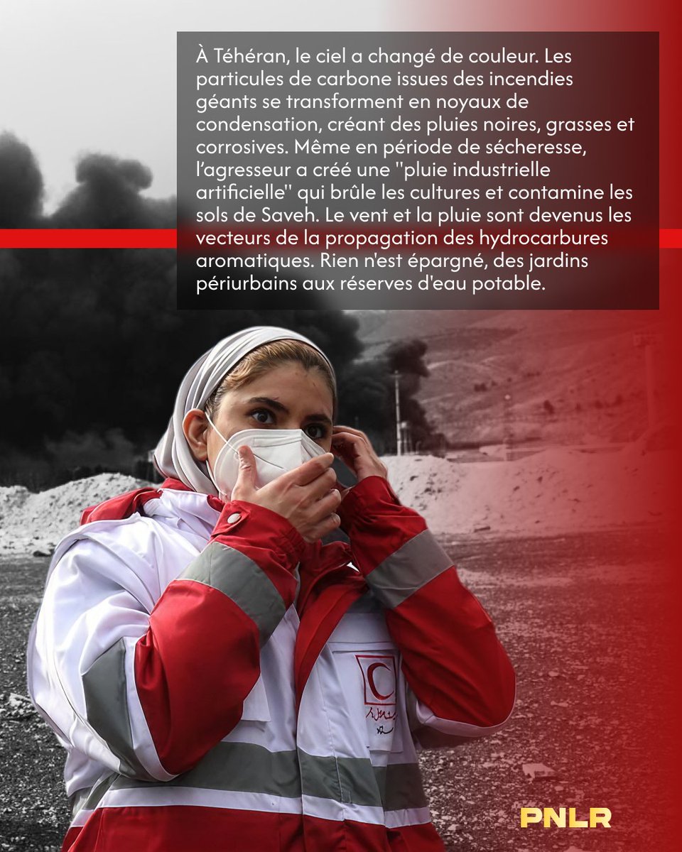 Peaux Noires Ligne Rouge ☭ tweet media