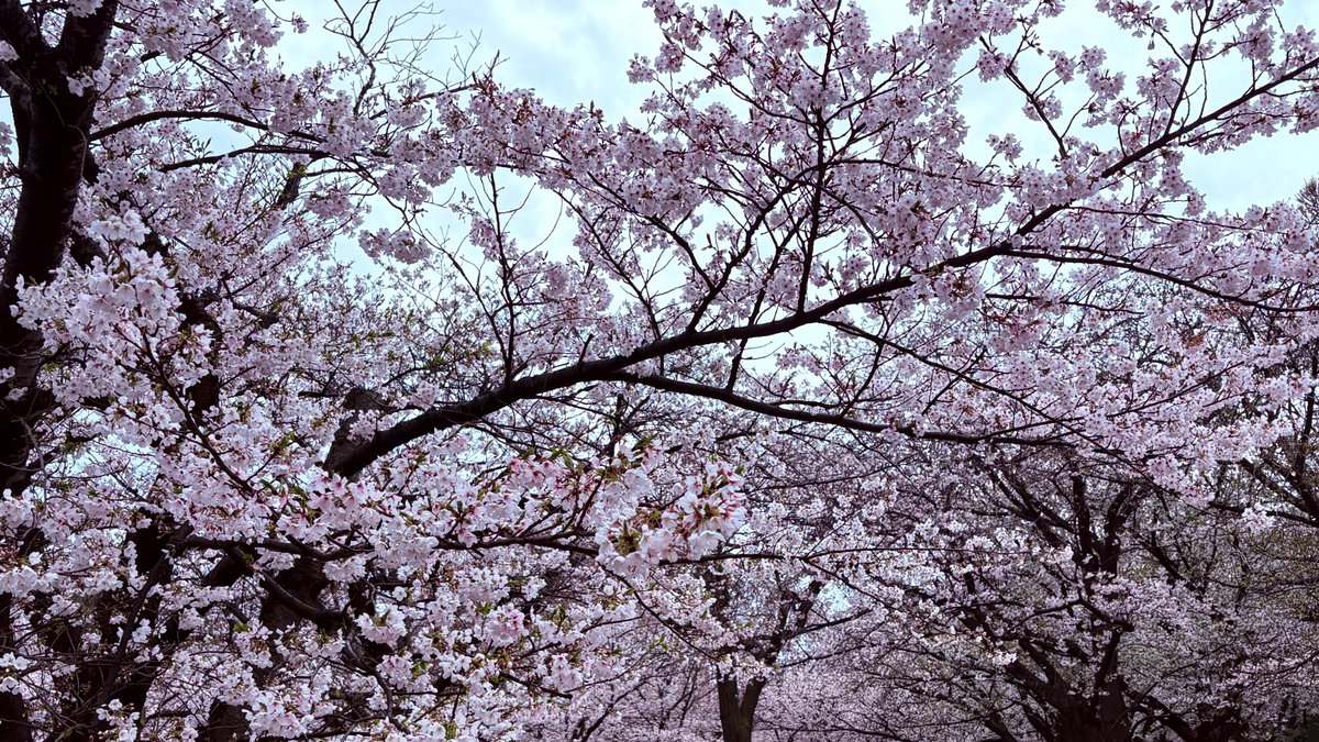 PHP研究所 広報 tweet media