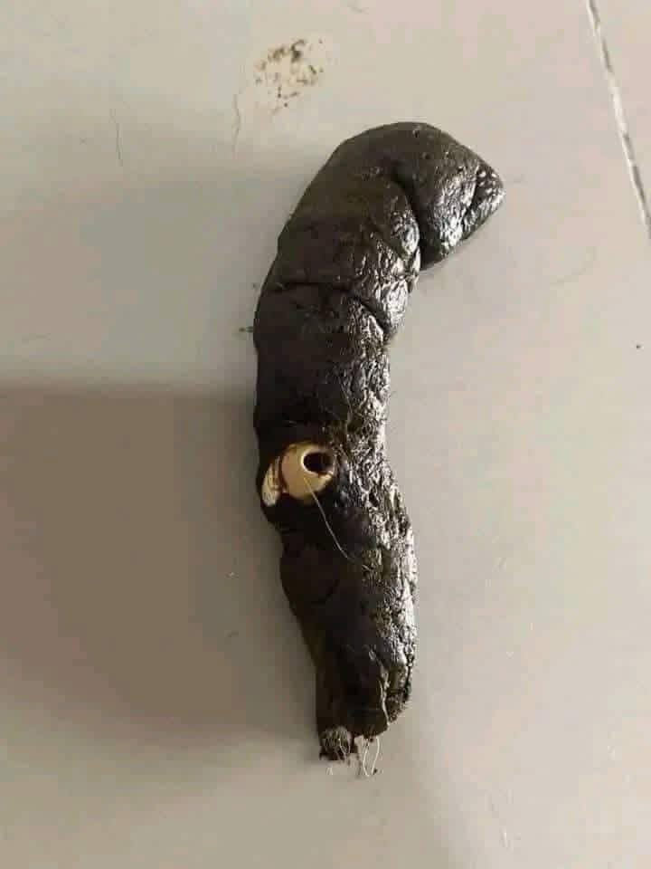 Puppies 🐶 tweet media