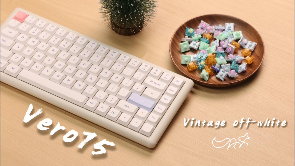 chosfox43661's tweet image. Vero75 Vintage White

Pre-orders open today
Save $15 during the pre-order period

#chosfox #keyboard #vero75