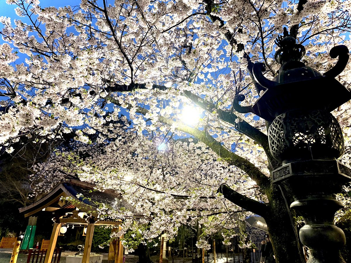 たかてぃん tweet media