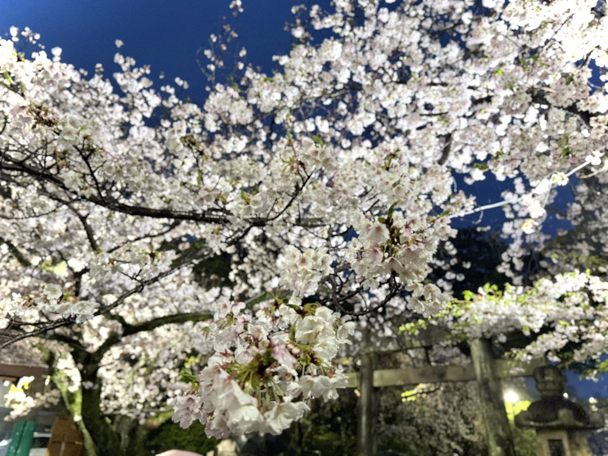 たかてぃん tweet media