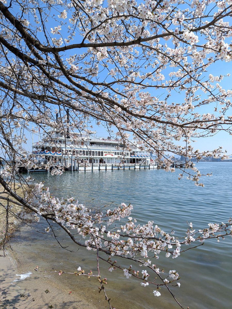 琵琶湖汽船【公式】 tweet media