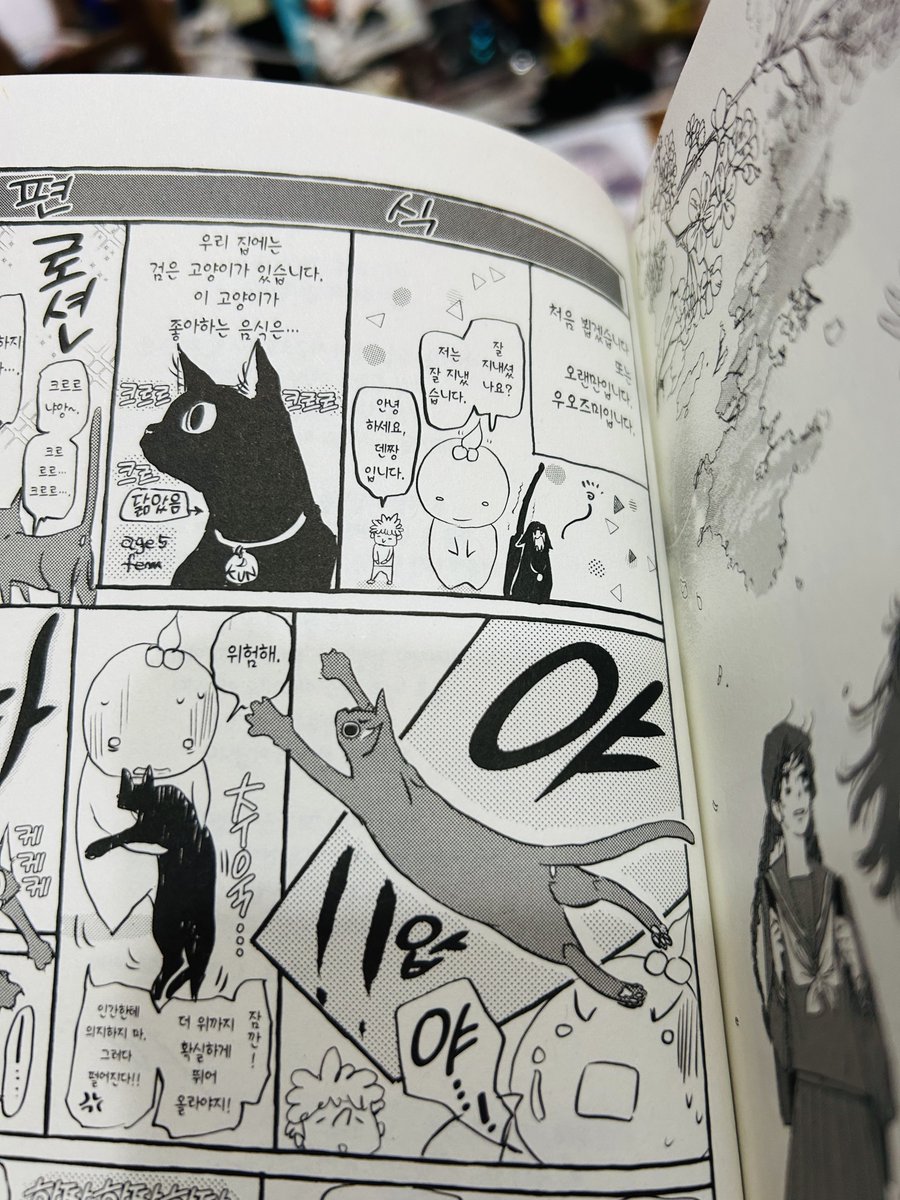 ウオズミアミ🍓🥛 tweet media