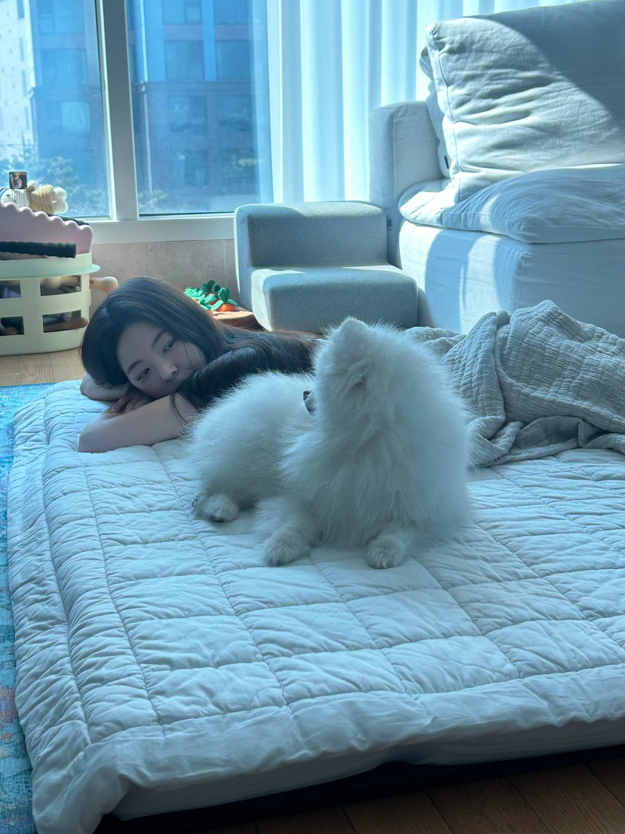 daily lia 🍦 tweet media