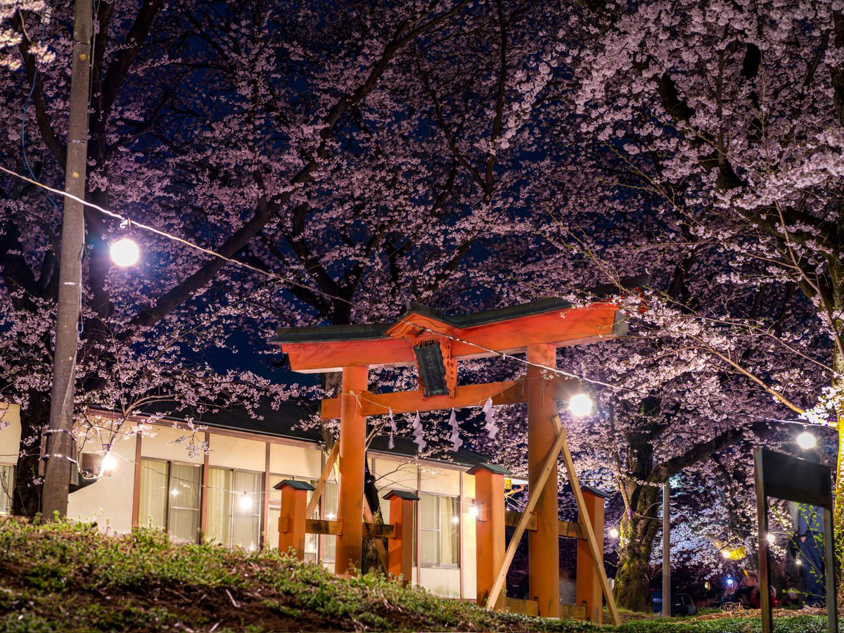 桜井＠レヴォーグ tweet media