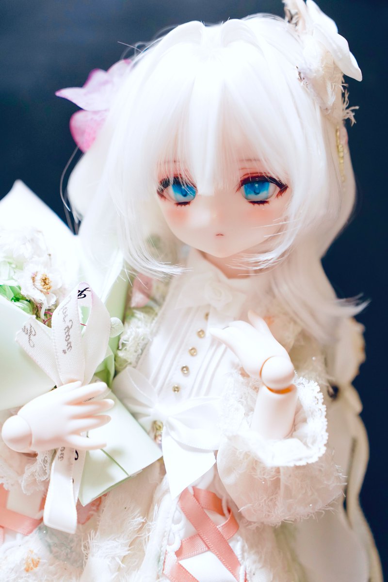 フィカド tweet media