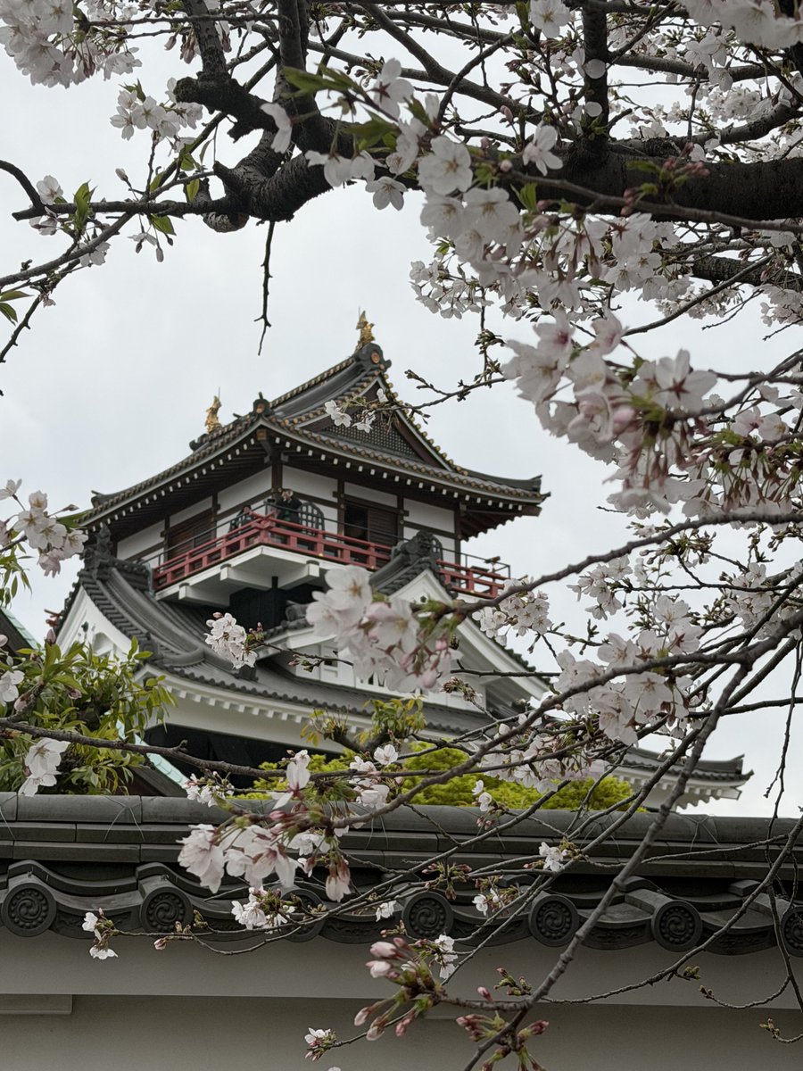 Erwin Vollmann🎗 tweet media