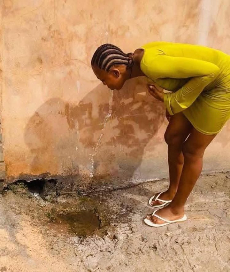 John..BlackUTD tweet media