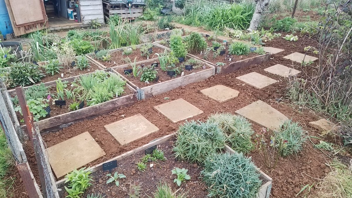 PollyWaterside 💙 🐝🐦🦋🪴🌼🌻🌺💐🌸🌹 tweet media