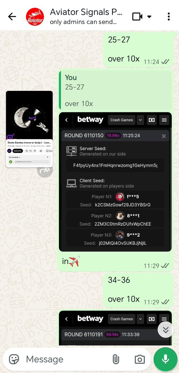 that airplane guy tweet media