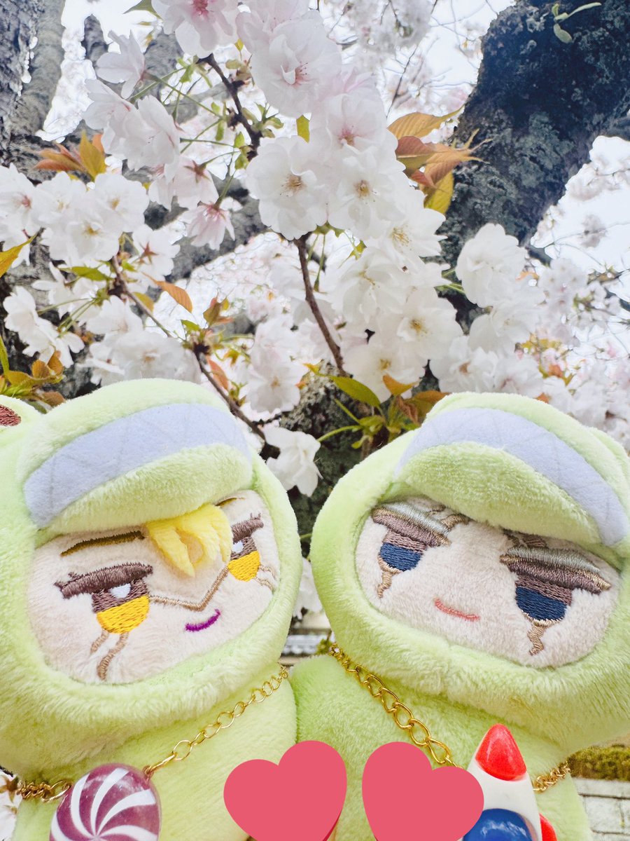 唐桃🍑2号館け13a tweet media