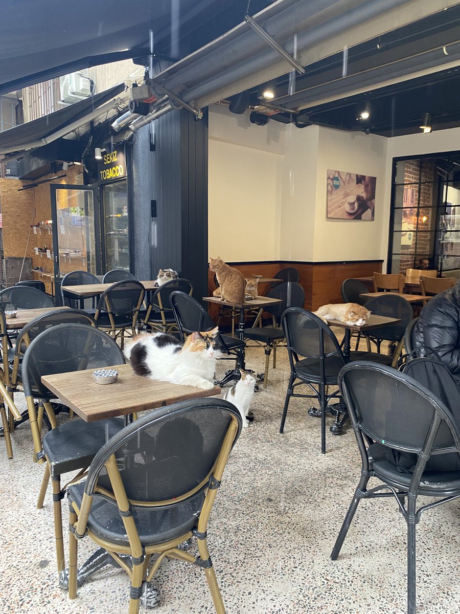 Bulandıran palavralardan âzâde, gamsız bir keyif tweet media