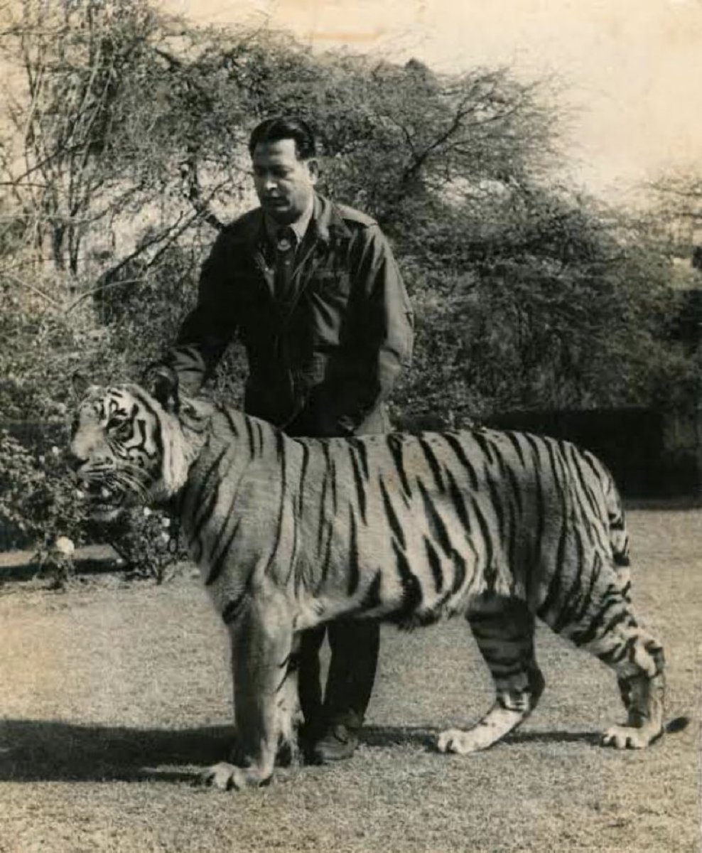 gehloths's tweet photo. Tiger man kailash sankhala https://t.co/KHUHMj1qUO