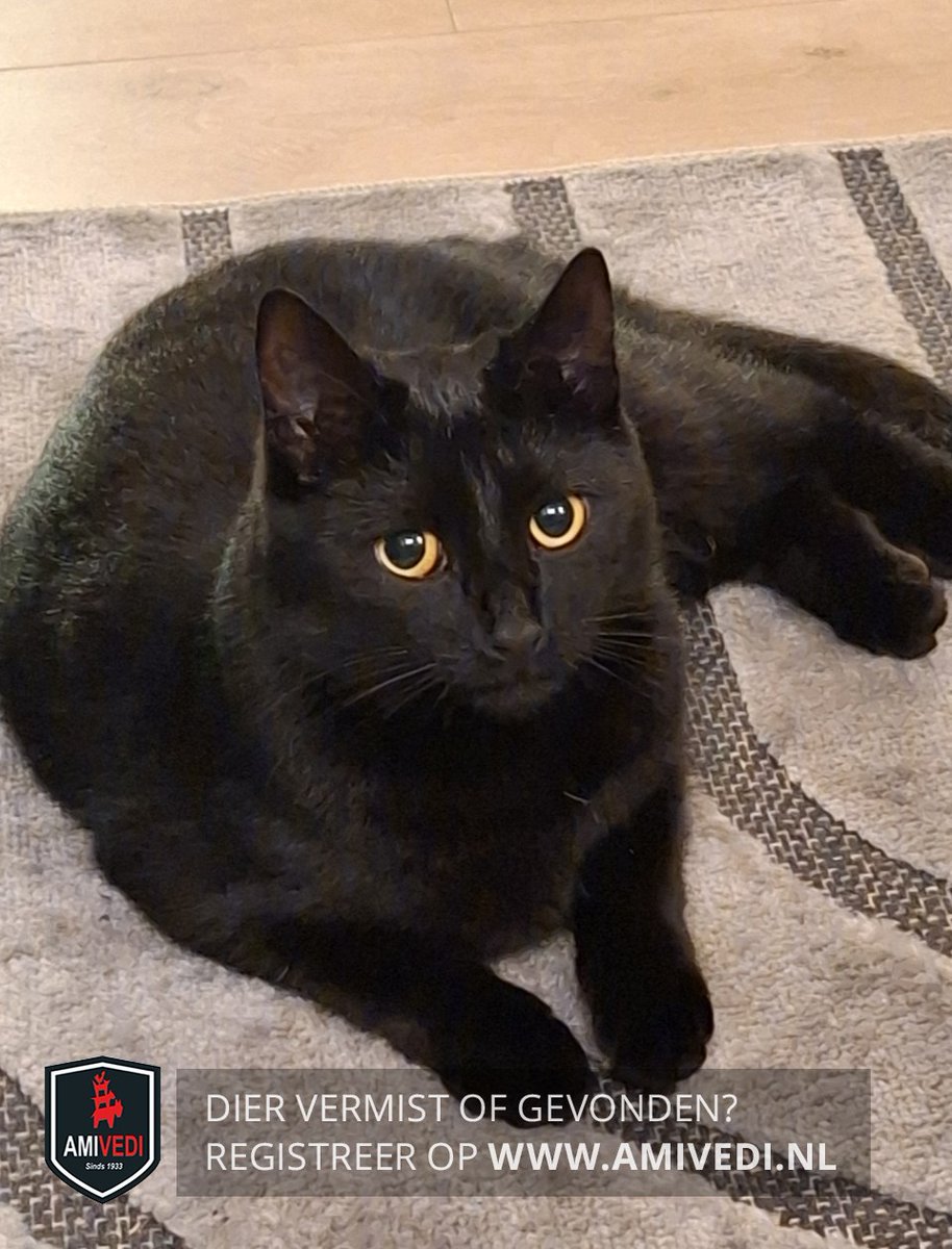 Angenita Heijmans tweet media