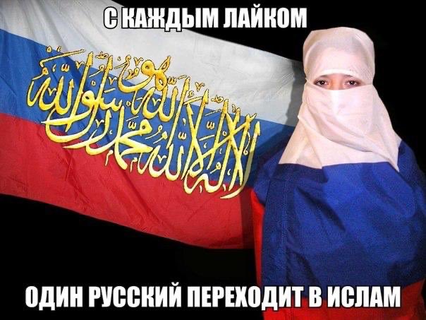 Nikolay Ostrovsky tweet media