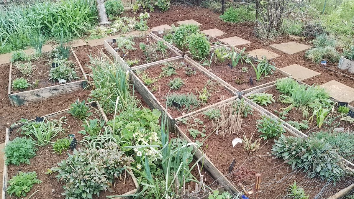 PollyWaterside 💙 🐝🐦🦋🪴🌼🌻🌺💐🌸🌹 tweet media