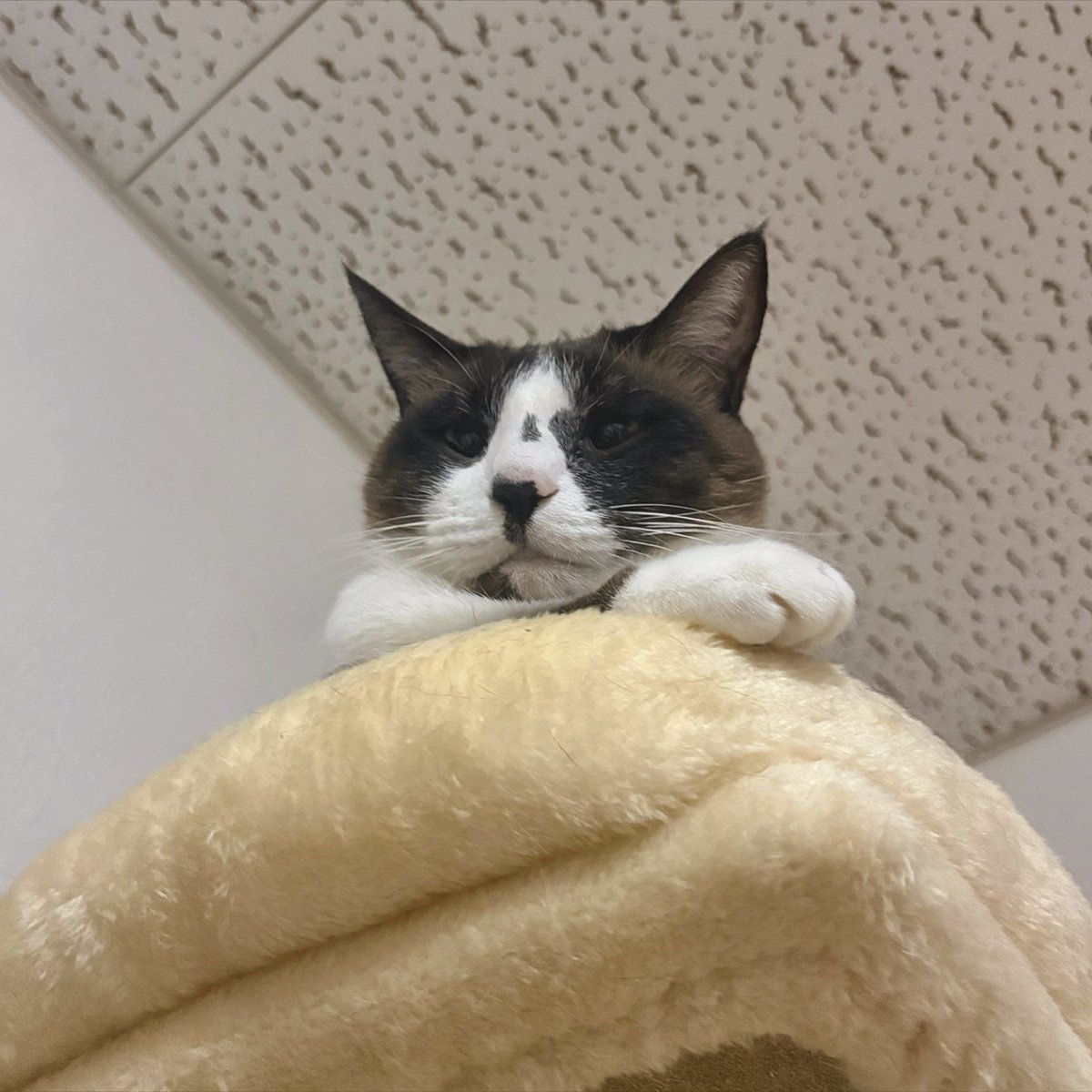 みるきぃ🍼🍥◝✩ tweet media