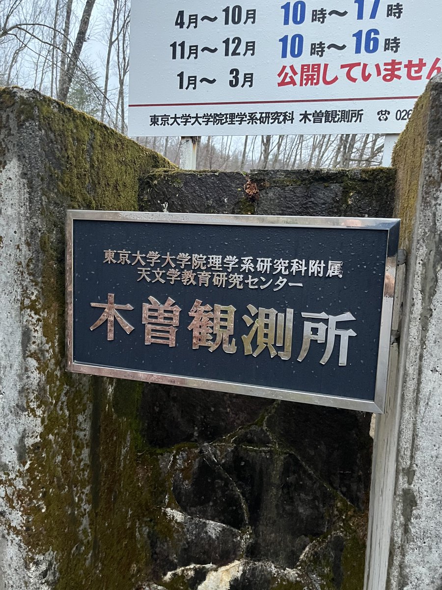 プロキオン tweet media