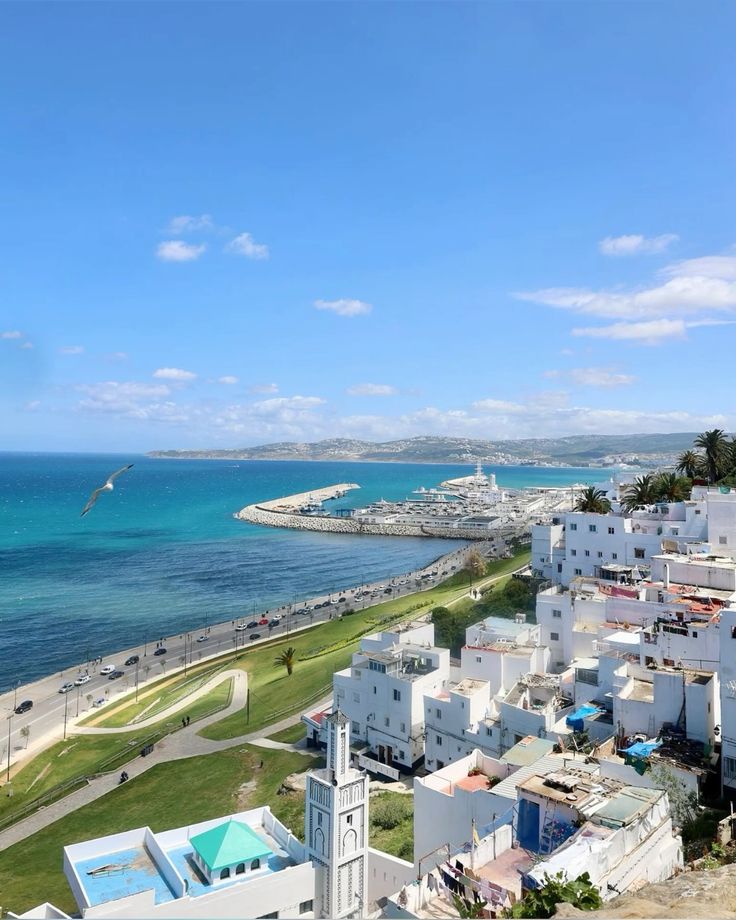 Wander Aesthetic tweet media