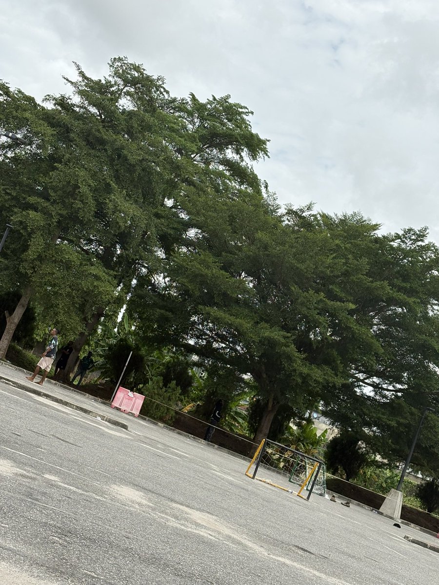 KosiOkorie tweet media