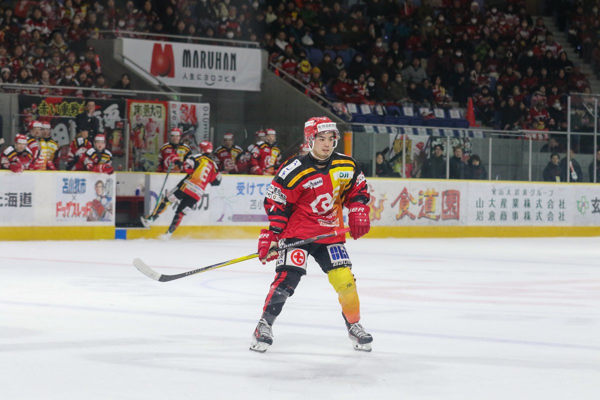 レッドイーグルス北海道 tweet media