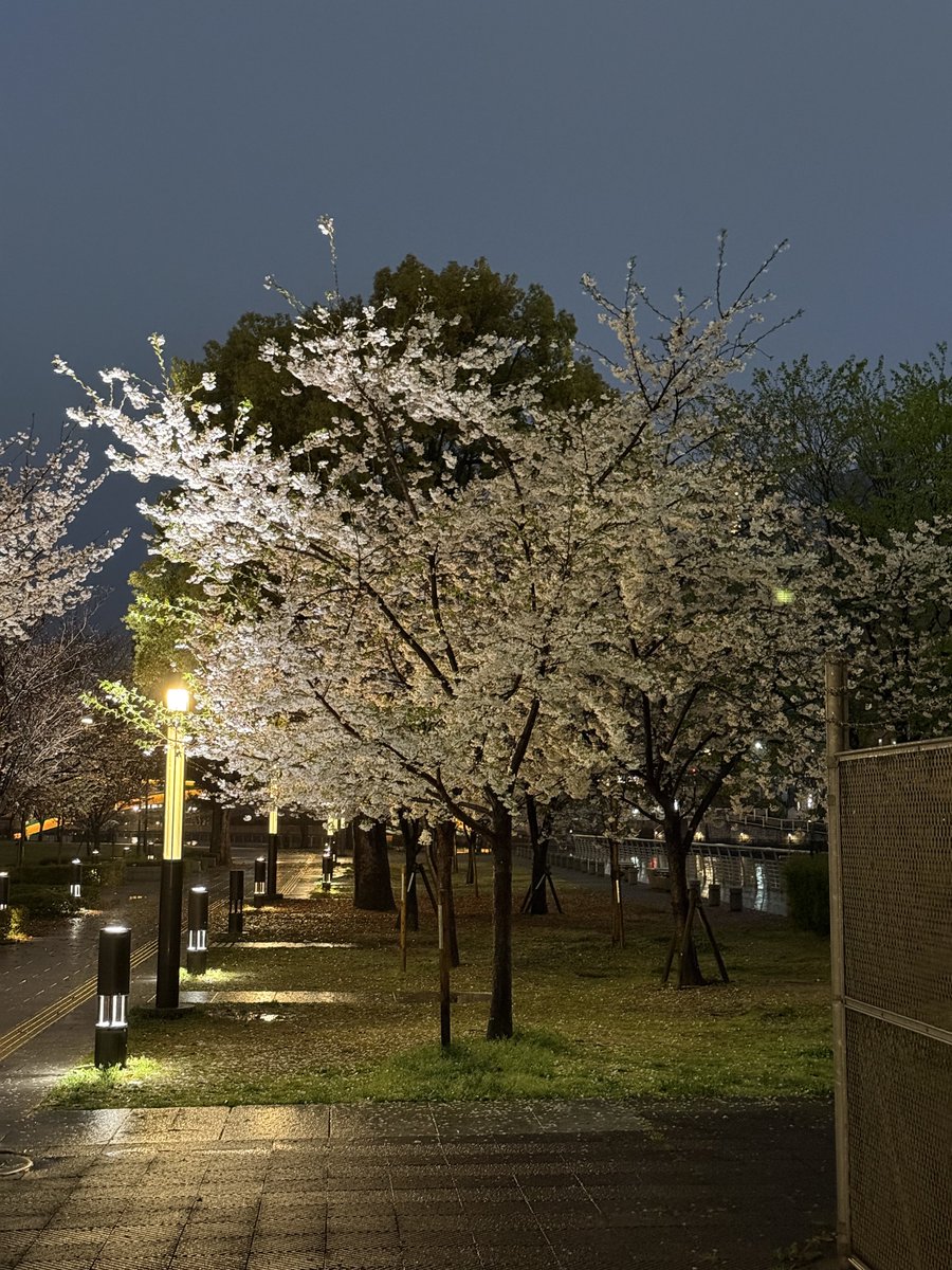 𝔸.𝕋.𝕆.𝕄. tweet media