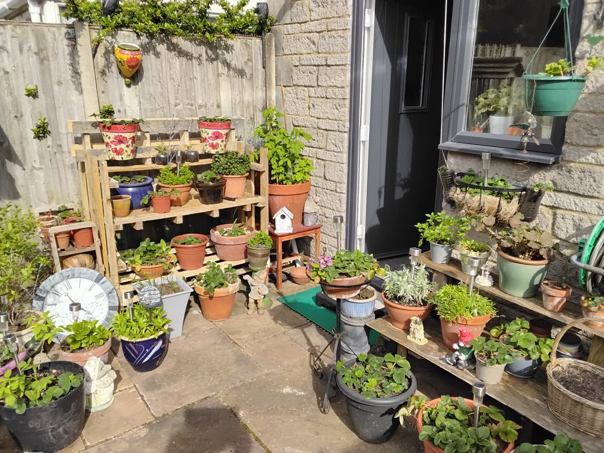 Matt 🇬🇧 tweet media