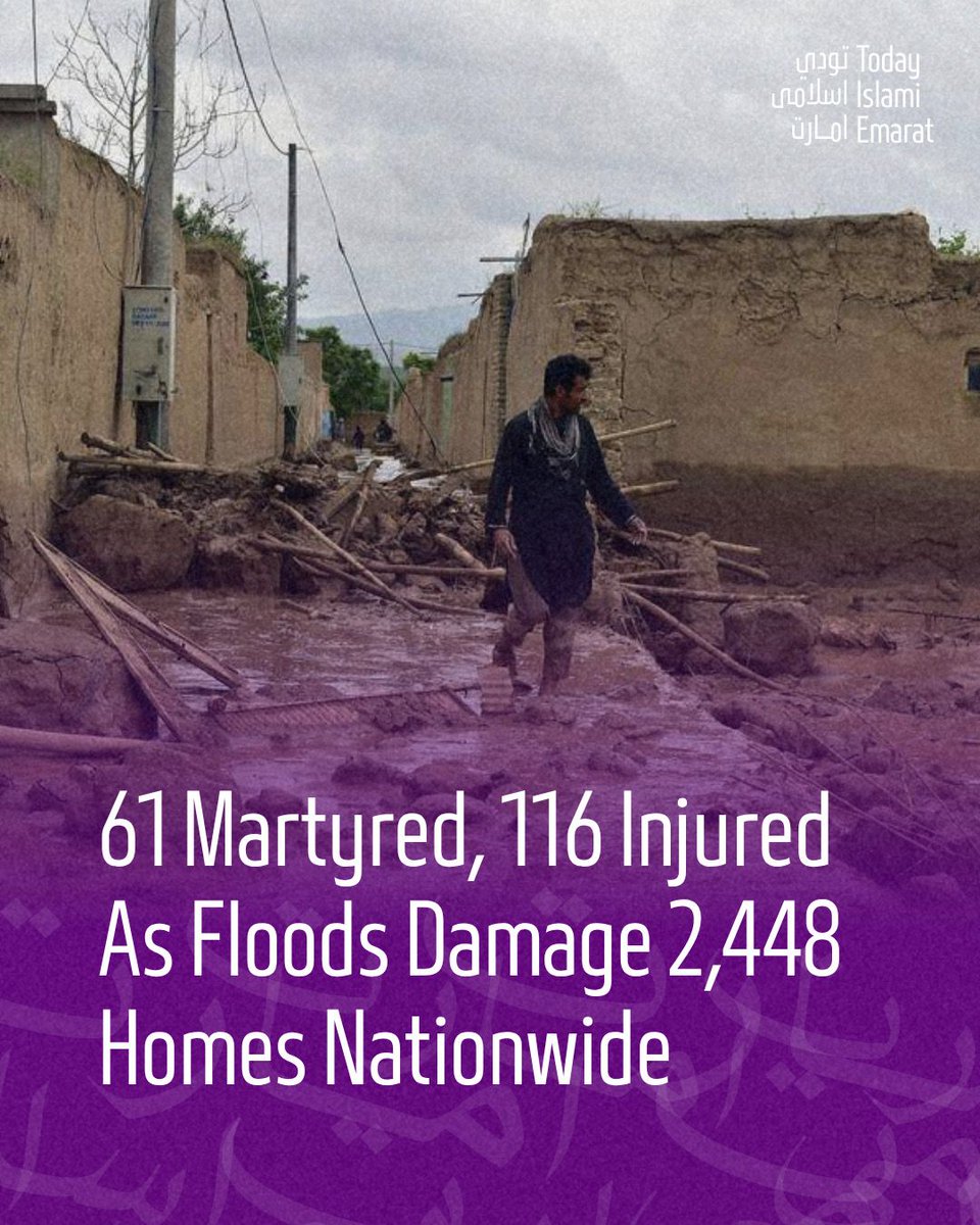 Martyrs: 61 individuals;
Injured: 116 individuals;
Missing: 4 individuals;
Damaged houses: 2,448 houses (complete and partial);
Destruction of cultivated land: 26,841 jeribs;
Livestock lost: 1,045 heads;