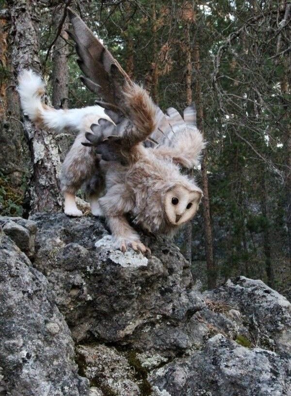 PmAmTraveller tweet media