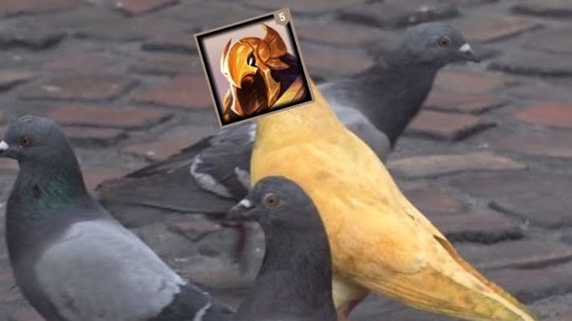 고등어귀유미 tweet media