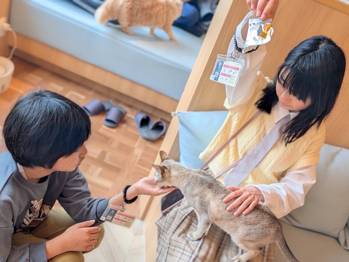 yuisaishida's tweet photo. 実は映画の前にカラオケと猫カフェにも行ってきました
初めての猫カフェ！ずっと行きたかったので嬉しかった膝の上にも乗ってくれたよ
カラオケははしゃぎまくり！りとくんいつもありがとう！また遊ぼうね
#いつメン最高
#猫カフェ https://t.co/BU64Al7xW7