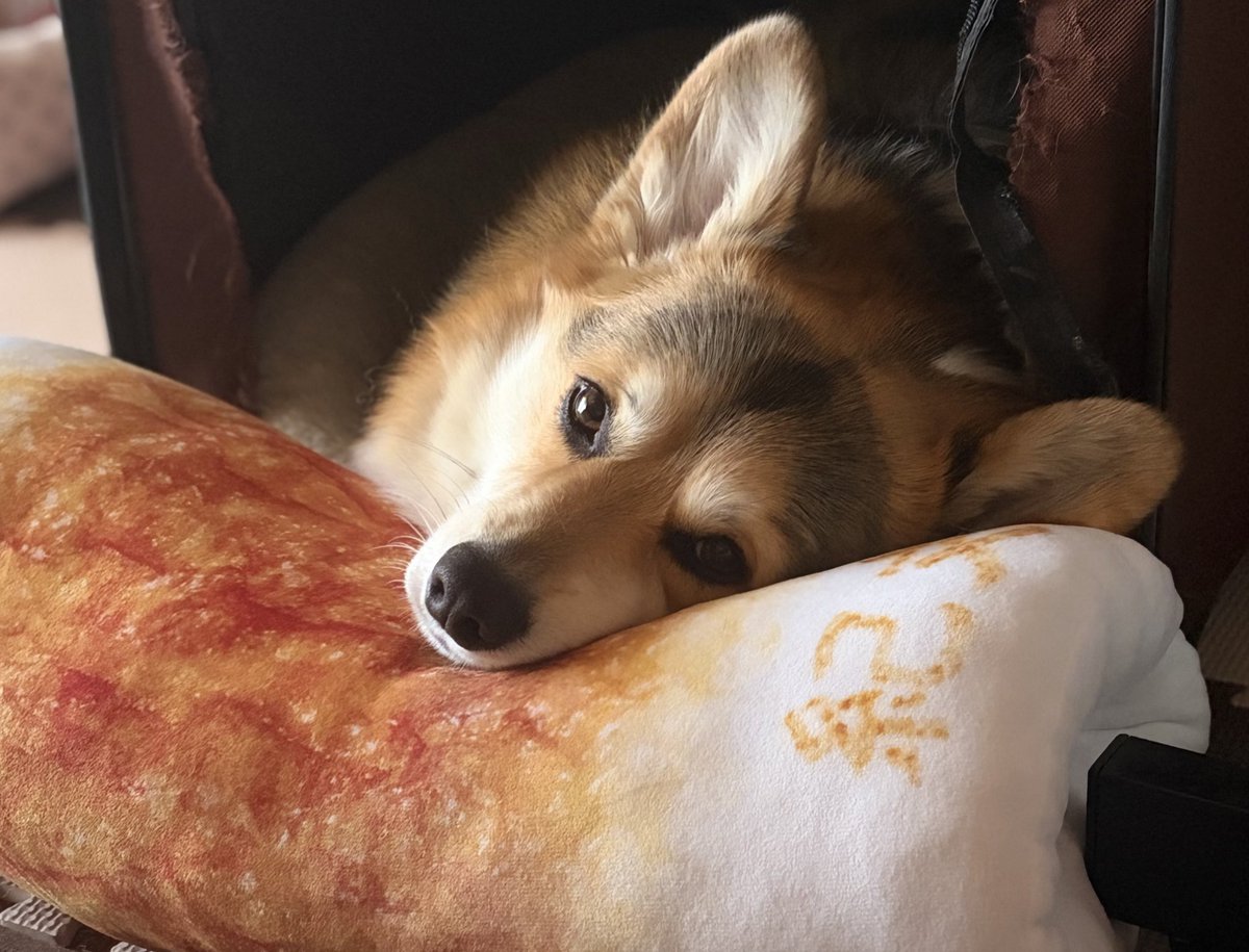 cube_vvvv's tweet photo. ちくわにねそべるちくわ https://t.co/ohEjVW2T7S