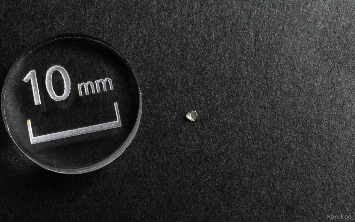 カルクウ tweet media