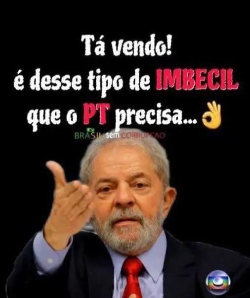 Lucia Chueire tweet media