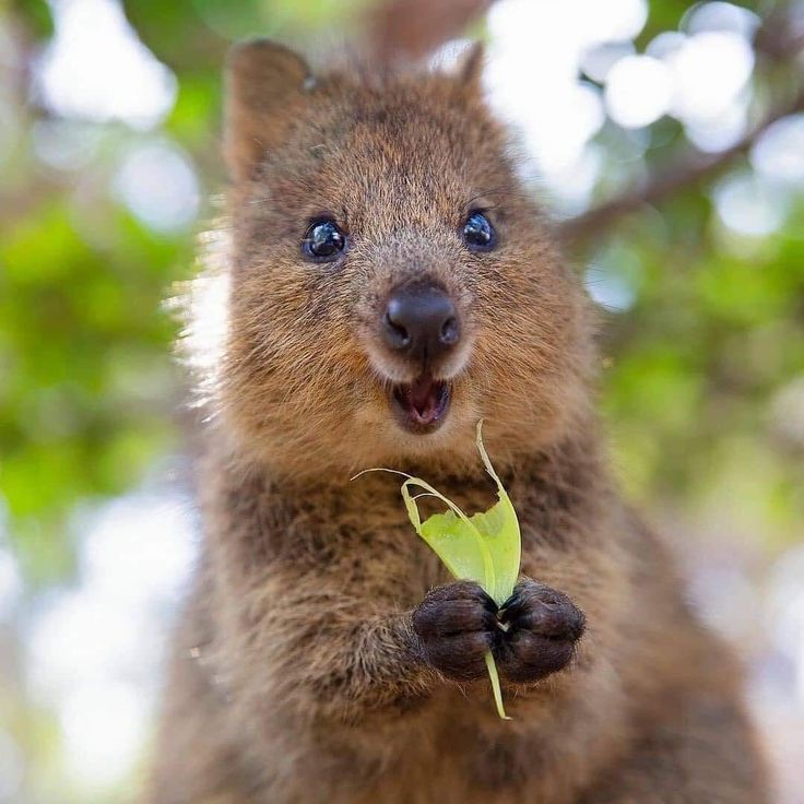 O_ops! 💌 tweet media