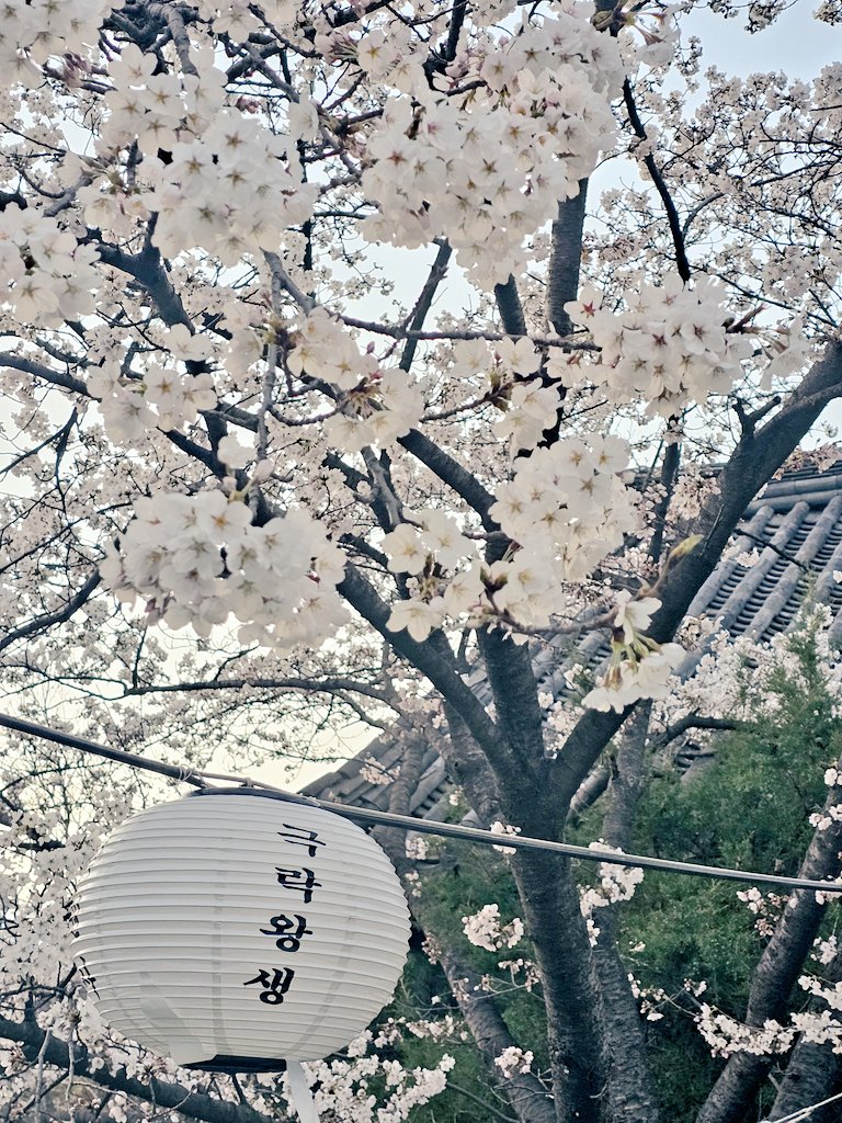 โ๏ธํฉ์๐ tweet media