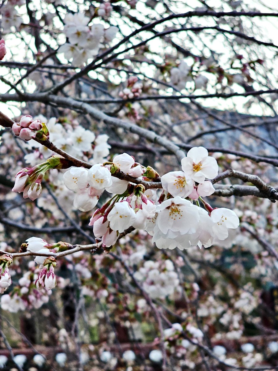 โ๏ธํฉ์๐ tweet media